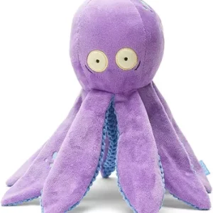 odd-ollie-the-octopus