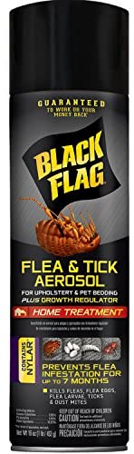 Black Flag Flea n Tick Aerosol